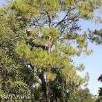 001 12th Ave., Naples, FL 34117