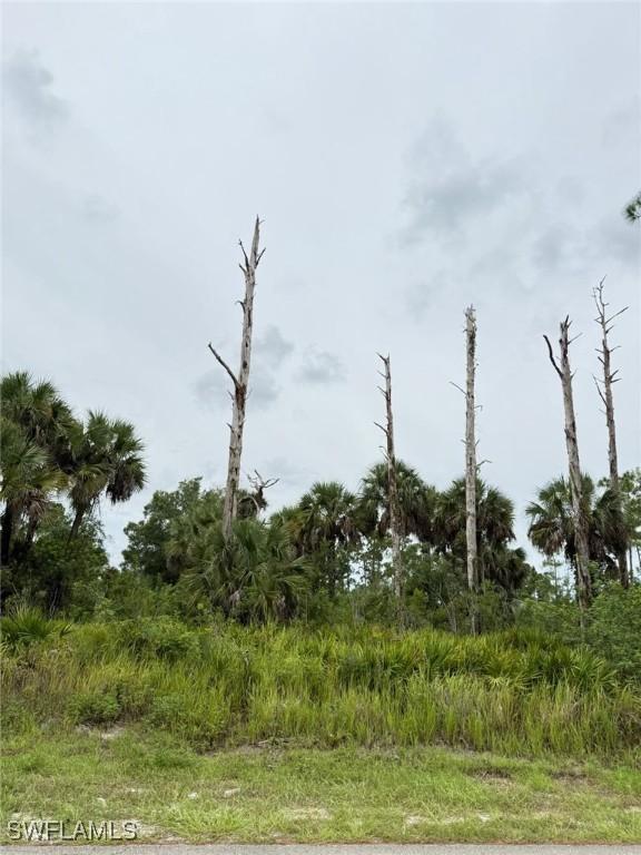 2905 Hanna Ave., Lehigh Acres, FL 33971