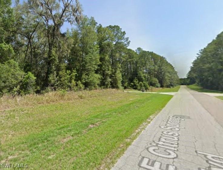 8698 N Alameda Dr., Citrus Springs, FL 34434