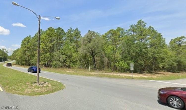 1511 W Donner Dr., Citrus Springs, FL 34434