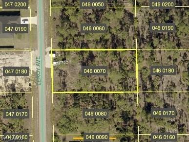 710 Leroy Ave., Lehigh Acres, FL 33972