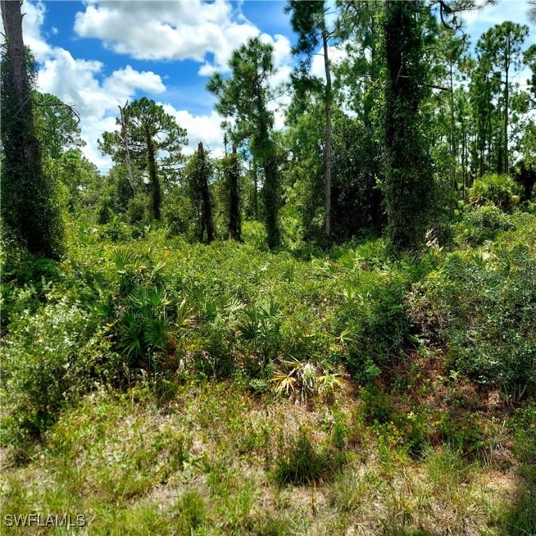 928 Binkley St., Lehigh Acres, FL 33974