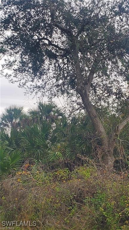 315 IVANHOE AVE Banyan Village, Labelle, FL 33935