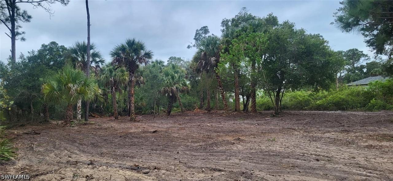 315 IVANHOE AVE Banyan Village, Labelle, FL 33935
