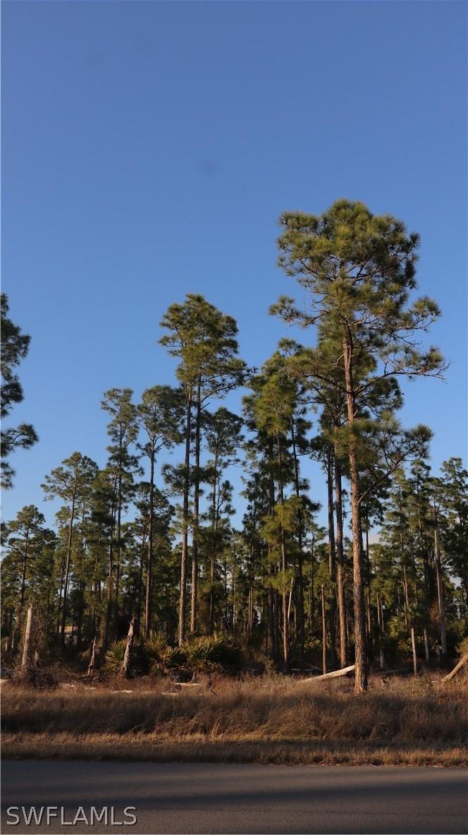 1109 Florence St., Lehigh Acres, FL 33974