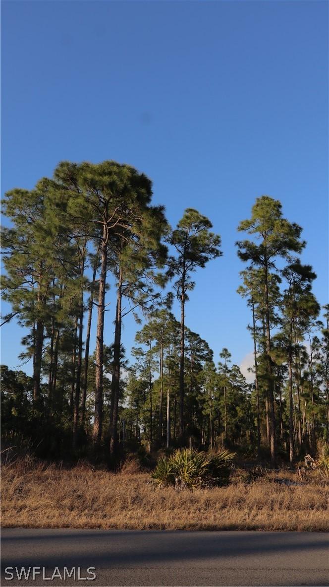 1107 Florence St., Lehigh Acres, FL 33974