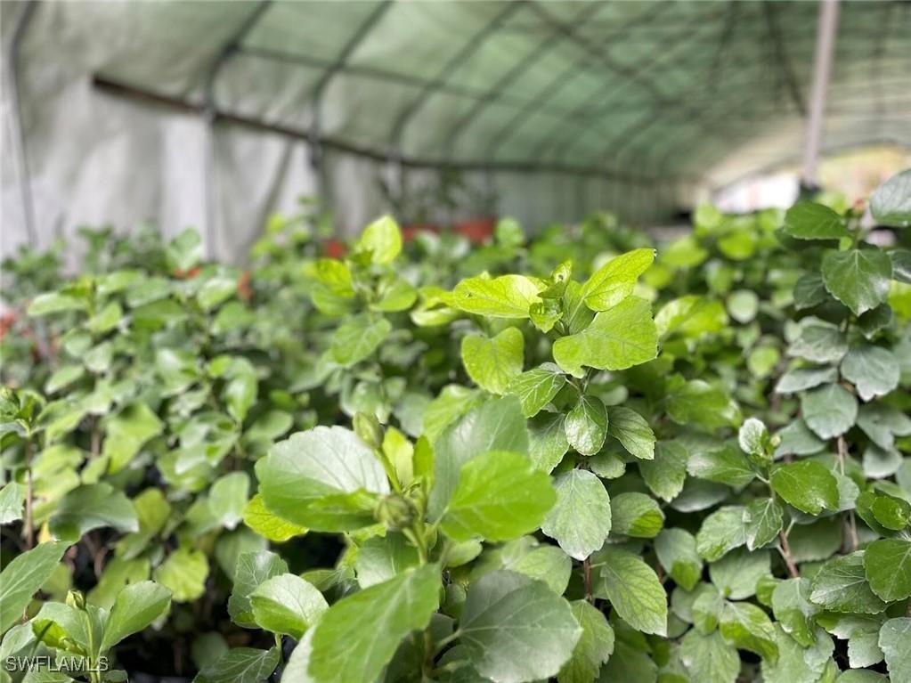 2185 Markley Ave., Naples, FL 34117