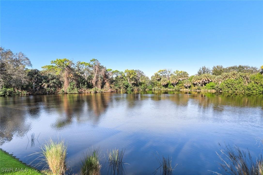 27030 Lake Harbor Ct. #202, Bonita Springs, FL 34134