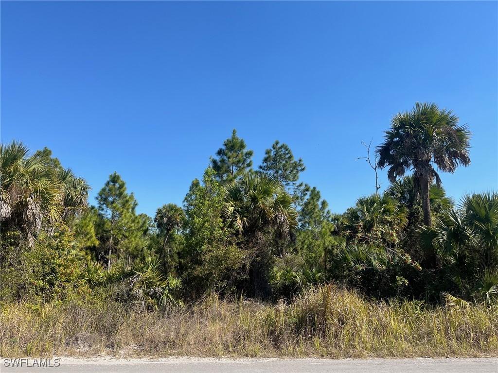 Dove Tree St., Naples, FL 34117