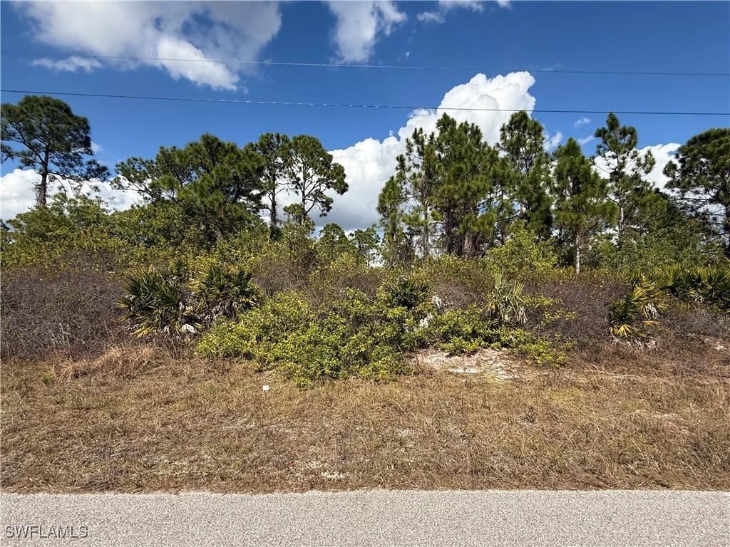 [Address Hidden by Seller], Lehigh Acres, FL 33974