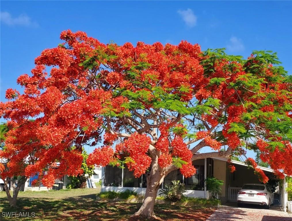 26257 Queen Mary Ln., Bonita Springs, FL 34135