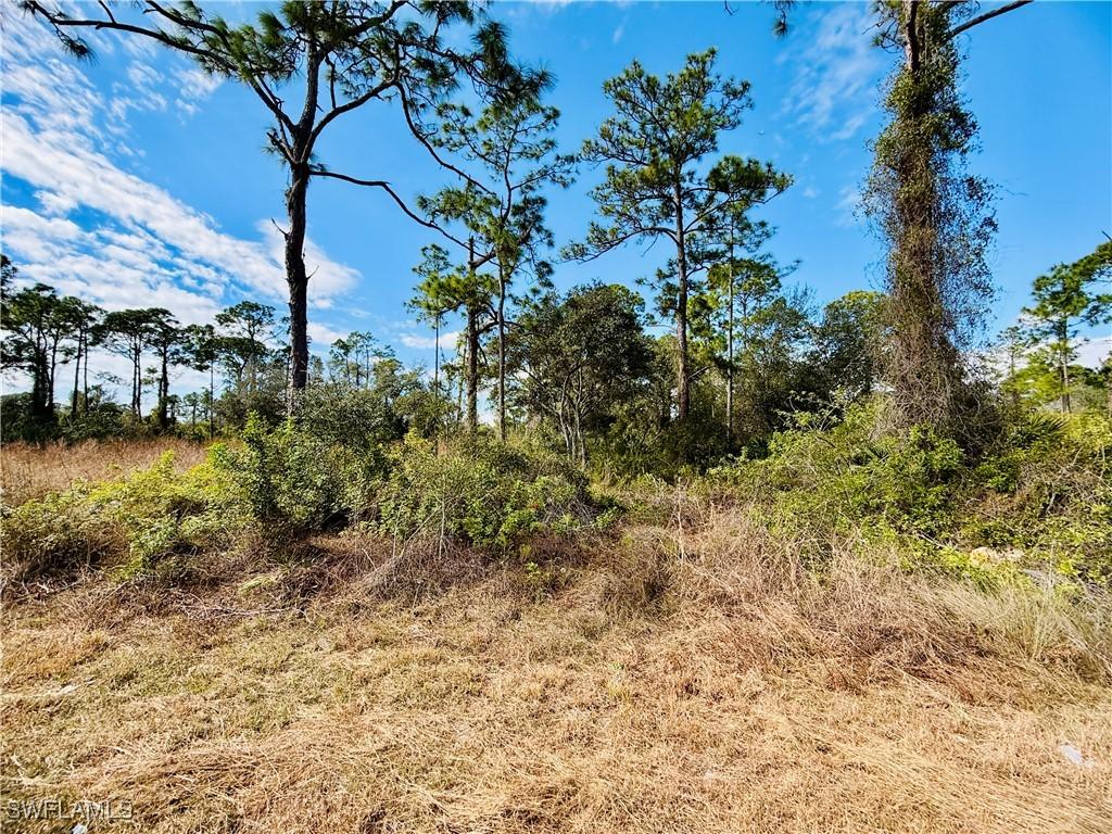 2007 Truman Ave., Alva, FL 33920