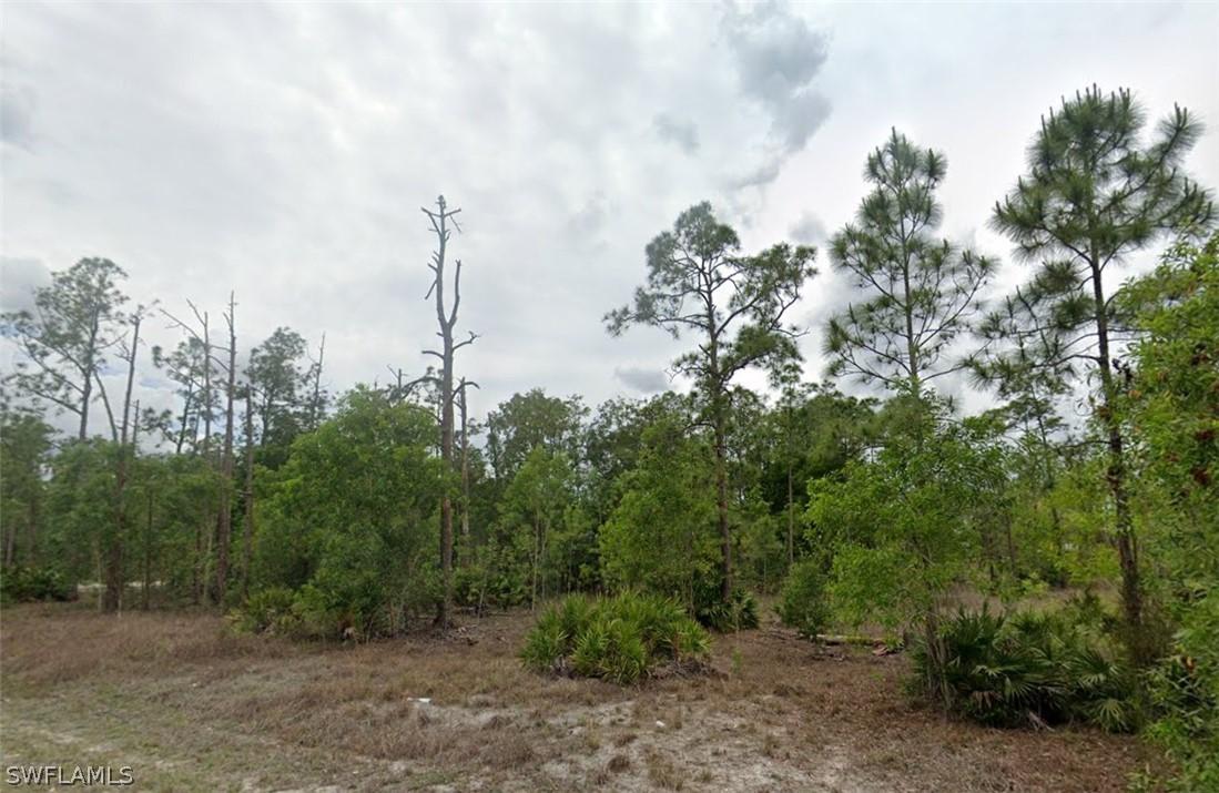 203 Wellington Ave., Lehigh Acres, FL 33936