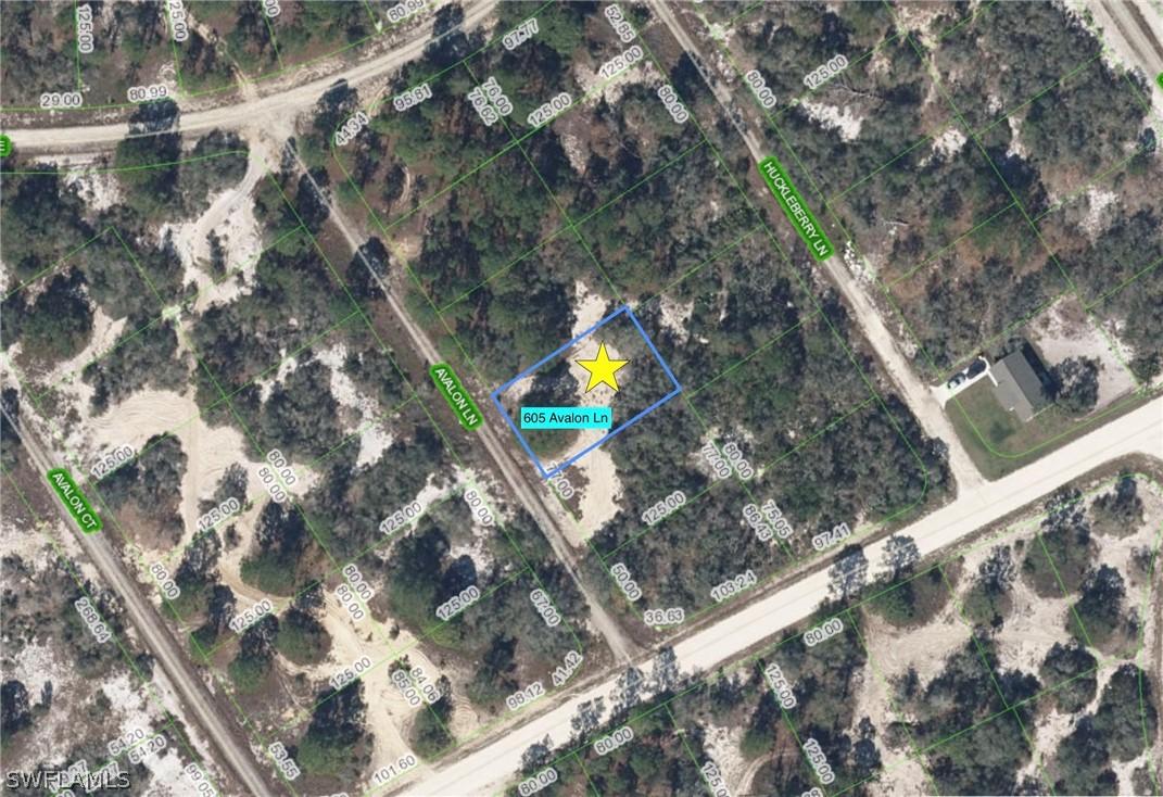 605 Avalon Ln., Lake Placid, FL 33852