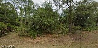 318 Wells Ave., Lehigh Acres, FL 33936