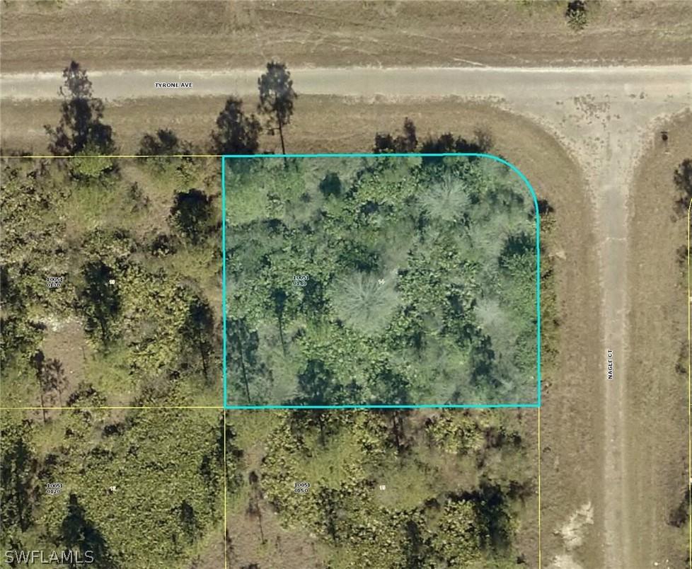 315 Nagle Ct., Lehigh Acres, FL 33972