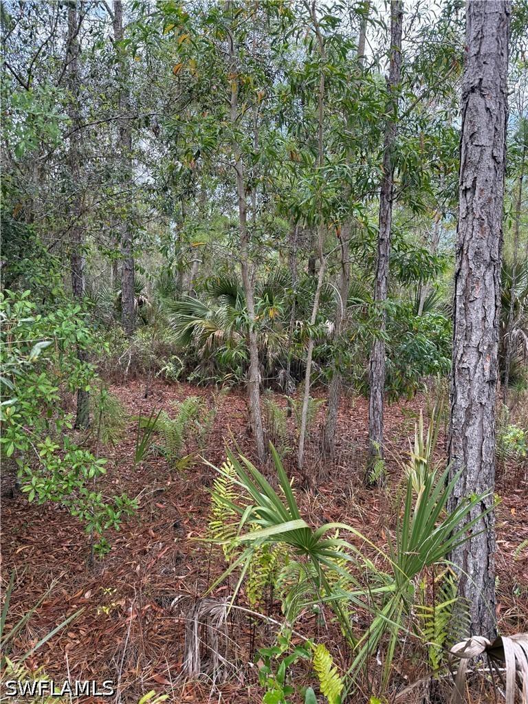 33rd Ave., Naples, FL 34120