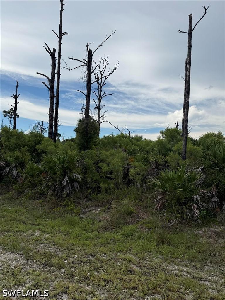 22nd Ave., Naples, FL 34120