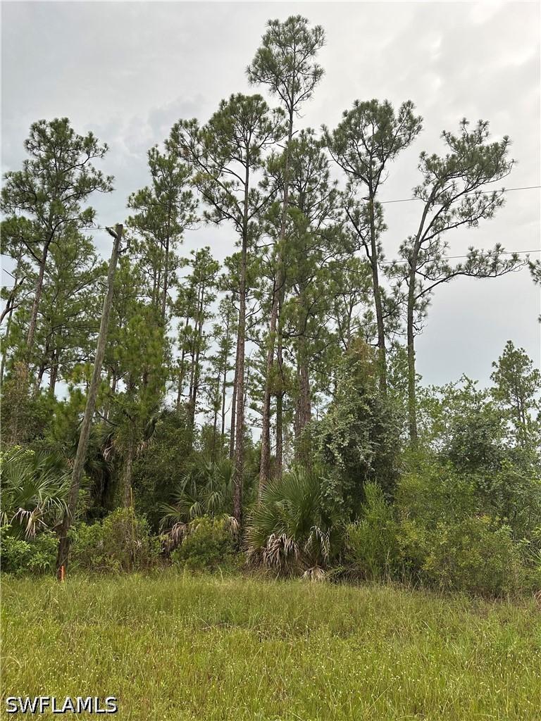 373/375 Greenbriar Blvd., Lehigh Acres, FL 33972