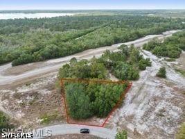 1329 Homosassa Ct., Kissimmee, FL 34759