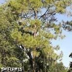 [Address Unavailable], Naples, FL 34117