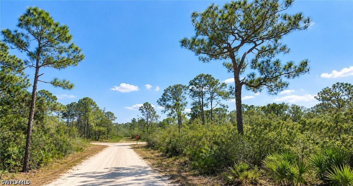 1204 Vesper Sparrow Ave., Lake Placid, FL 33852