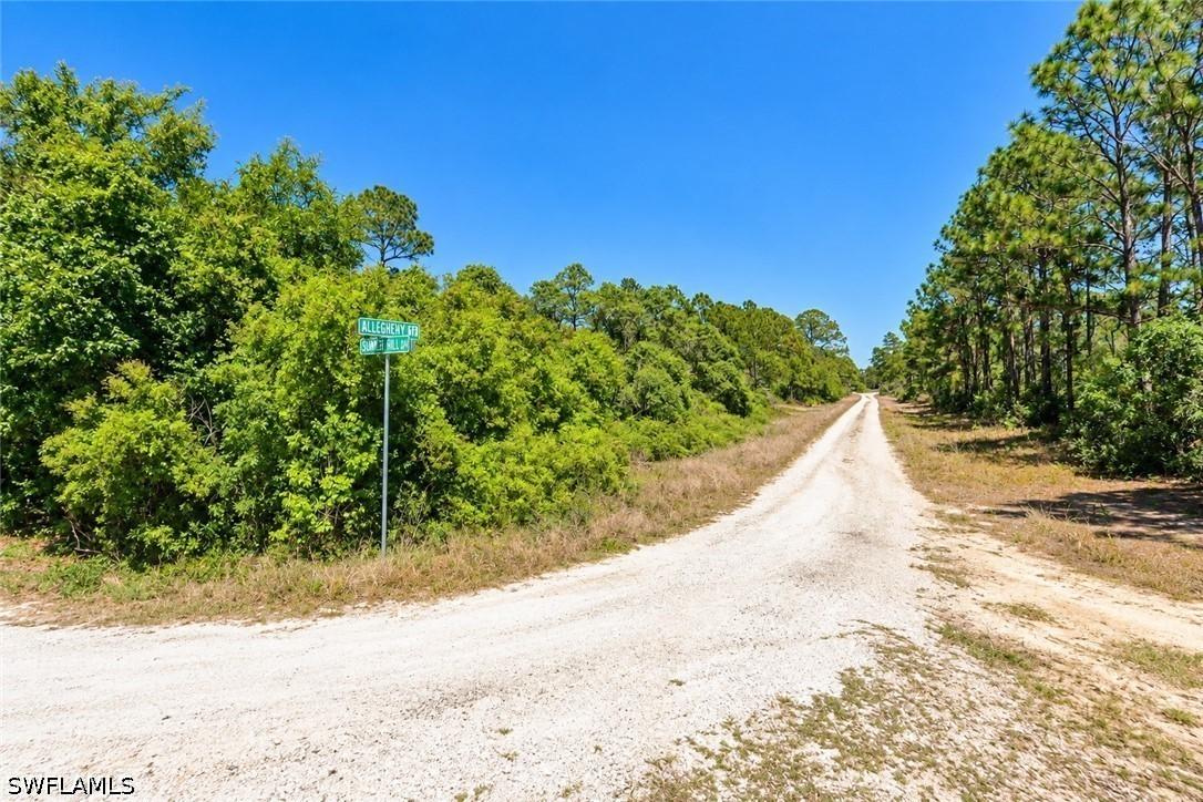 406 Allegheny Ave., Lake Placid, FL 33852