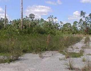 Dalewood, North Port, FL 7010