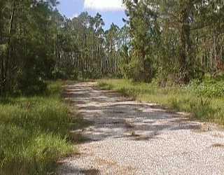 Lot 10 Pinewood St, North Port, FL 34288