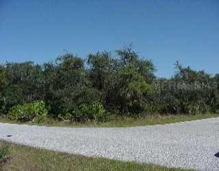 De Soto Drive, Other, FL 34287