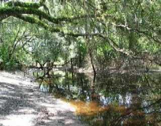 2153 Girl Scout Rd Nw, Arcadia, FL 34266