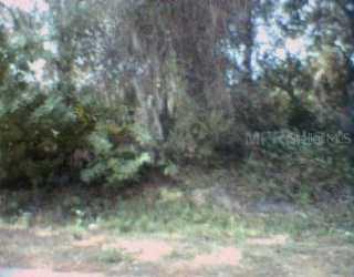 Florida Rd Rd., Venice, FL 34293