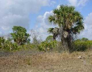 Nyberg Road, North Port, FL 34287