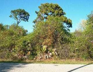 Panda, Venice, FL 34293