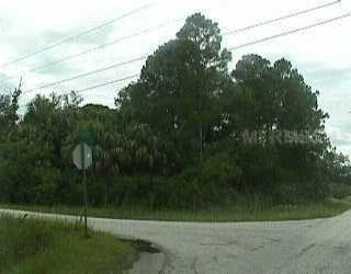 Cuthbert, Other, FL 15101