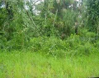 5427 Shagback Ct., North Port, FL 34287