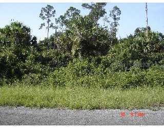 Leesburg Ave., North Port, FL 34288