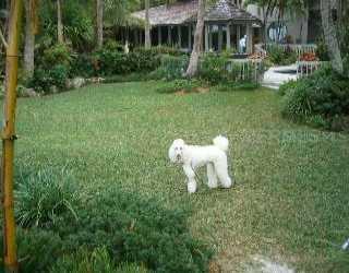 6021 Gulf Of Mexico Dr., Longboat Key, FL 34228