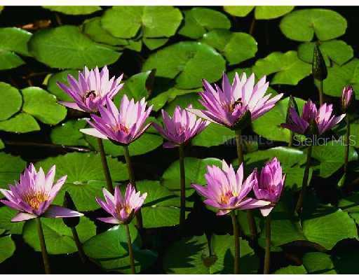 4530 Nelson Ave., Sarasota, FL 34231