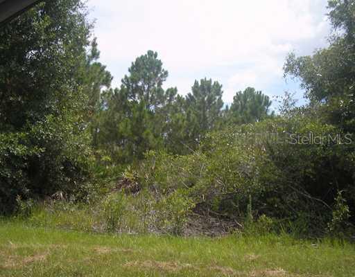 Cissus Ave, North Port, FL 34288