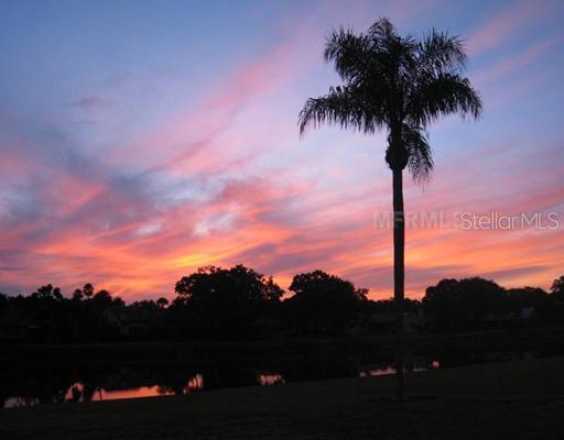 2124 Tamiami Tr. #202, Sarasota, FL 34234