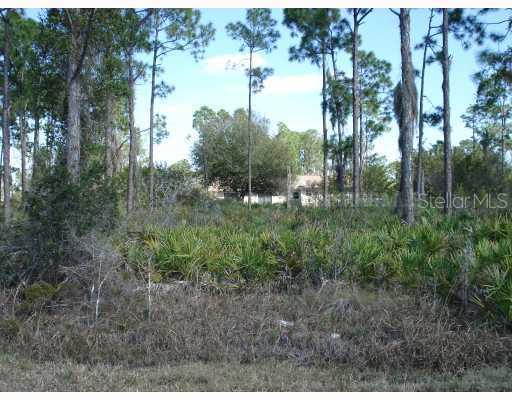 [Address Hidden by Seller], Port Charlotte, FL 33981