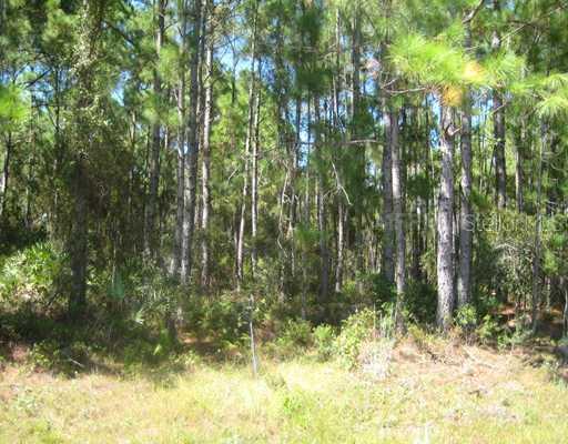 Ulman Ave., North Port, FL 34286