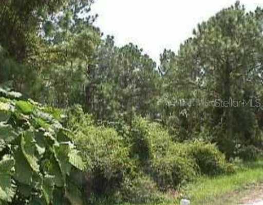 Crittendon Lot #3 St., North Port, FL 34286