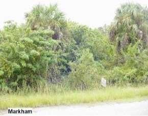 13421 Markham Ave., Port Charlotte, FL 33953