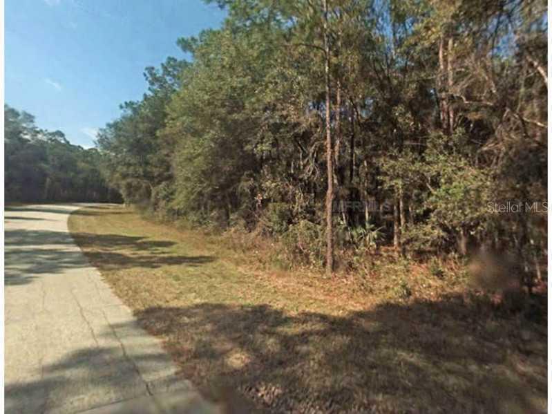 683 W Martinelli Blvd., Citrus Springs, FL 34434