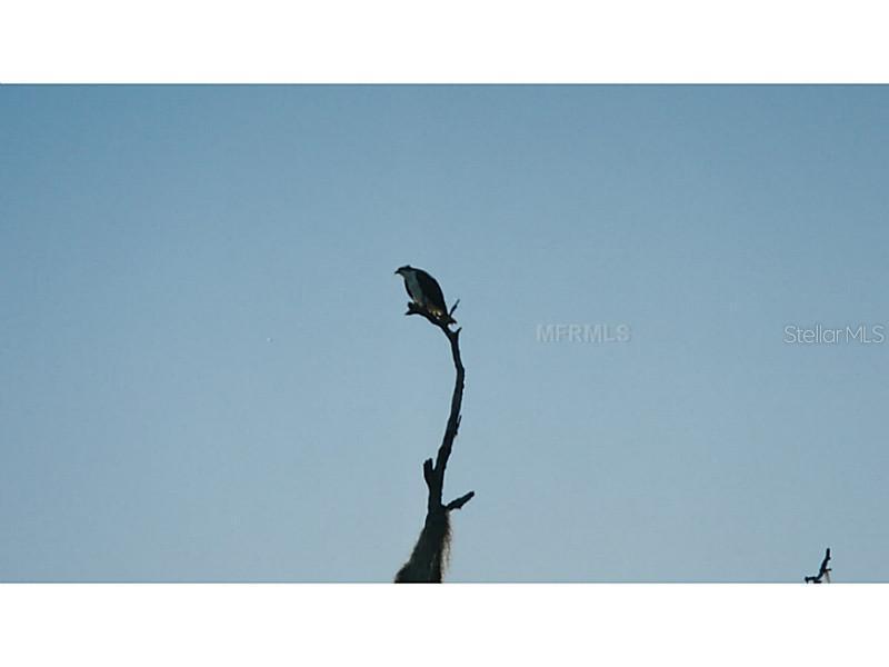 Tbd, Venice, FL 34292