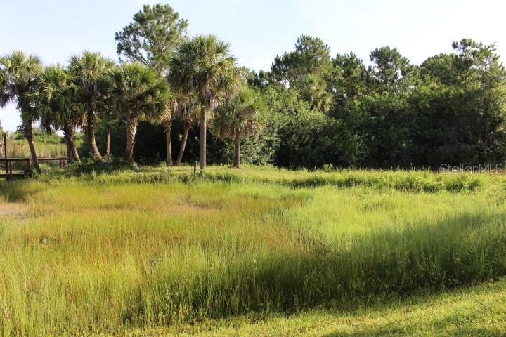 [Address Hidden by Seller], Wimauma, FL 33598