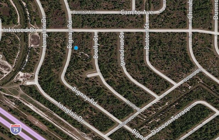 Bignay Rd., North Port, FL 34288