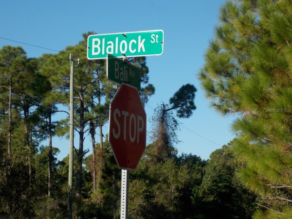 1221 Blalock St., Port Charlotte, FL 33980